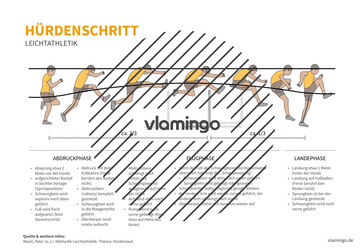 Leichtathletik: 30+ Technikkarten für den Sportunterricht & Verein