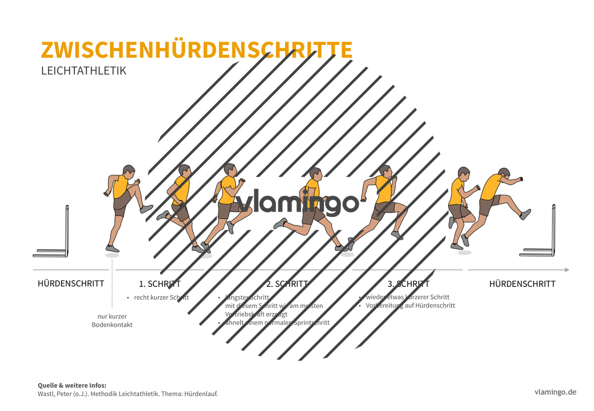 Leichtathletik: 30+ Technikkarten für den Sportunterricht & Verein