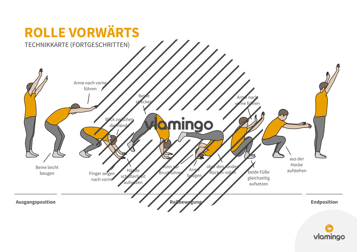 Rolle vorwärts: Übungskarten für den Sportunterricht (Vorwärtsrolle)