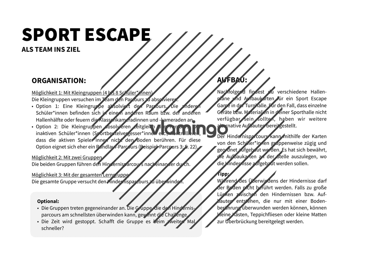 Sport Escape: Als Team ins Ziel (Sekundarstufe)