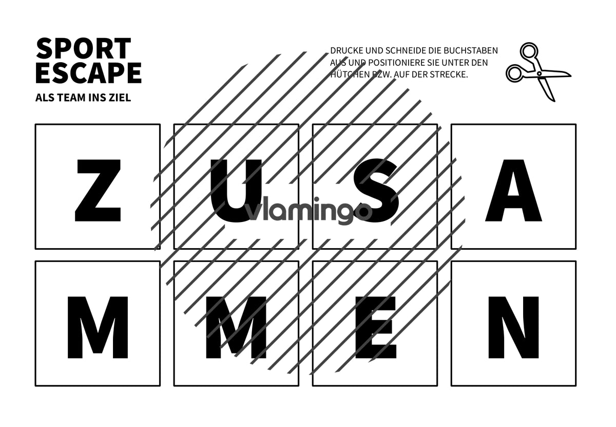 Sport Escape: Als Team ins Ziel (Sekundarstufe)