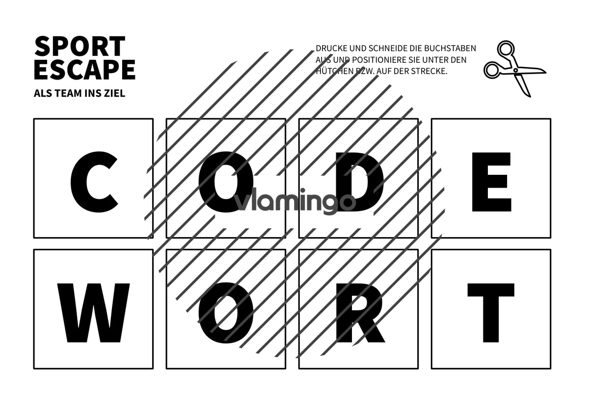 Sport Escape: Als Team ins Ziel (Sekundarstufe)