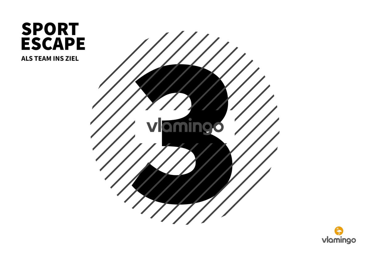 Sport Escape: Als Team ins Ziel (Sekundarstufe)