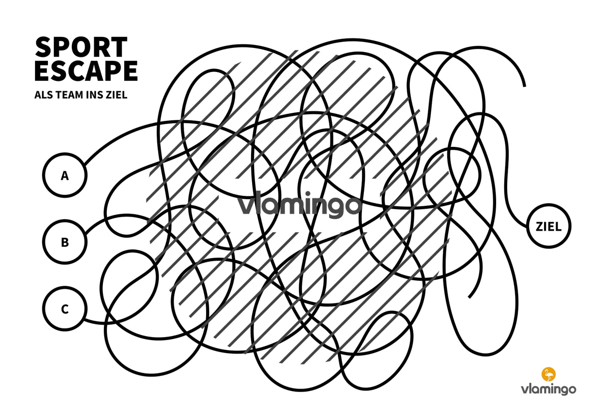 Sport Escape: Als Team ins Ziel (Sekundarstufe)