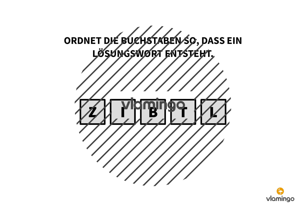 Sport Escape: Als Team ins Ziel (Sekundarstufe)