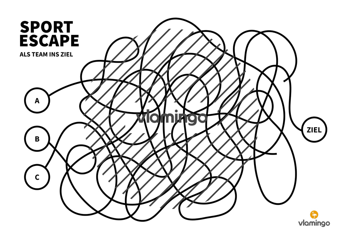 Sport Escape: Als Team ins Ziel (Sekundarstufe)