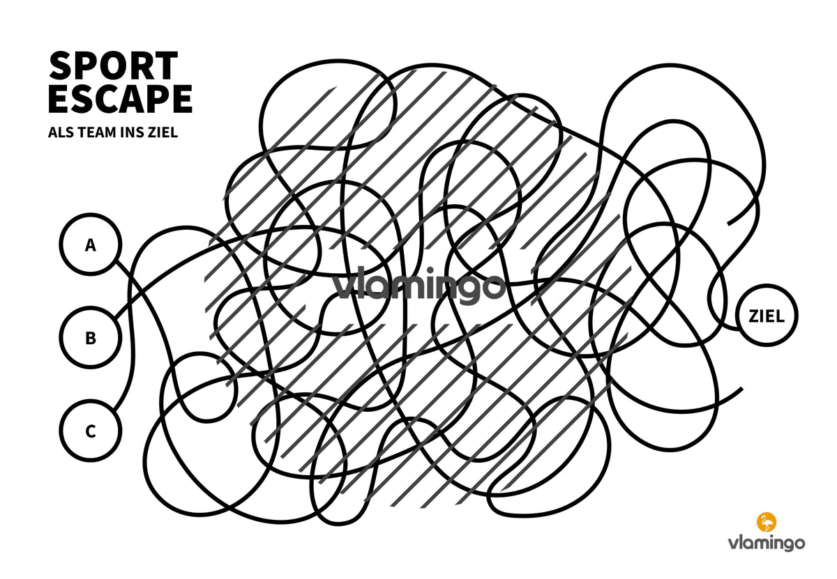 Sport Escape: Als Team ins Ziel (Sekundarstufe)