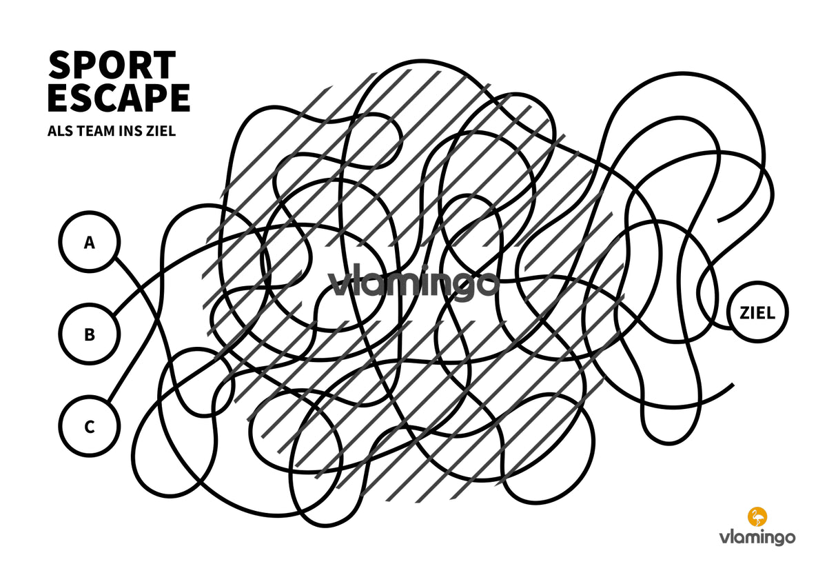 Sport Escape: Als Team ins Ziel (Sekundarstufe)