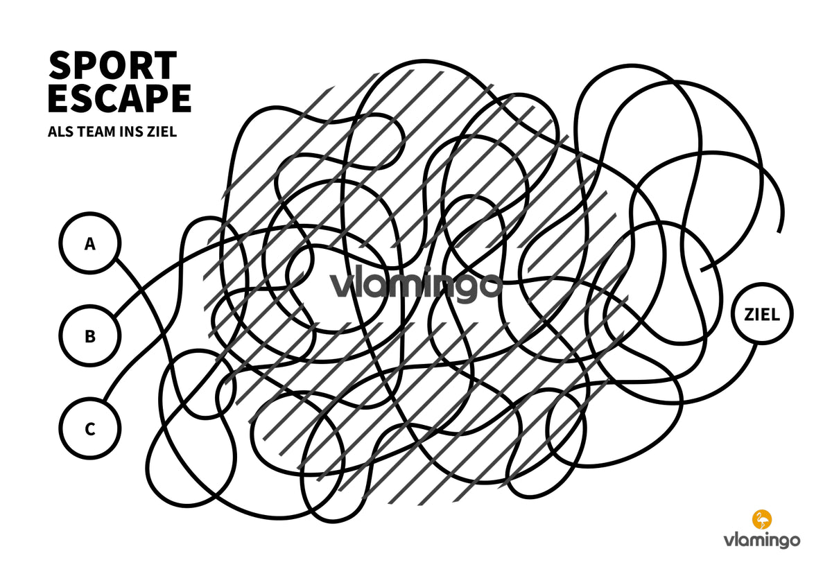 Sport Escape: Als Team ins Ziel (Sekundarstufe)