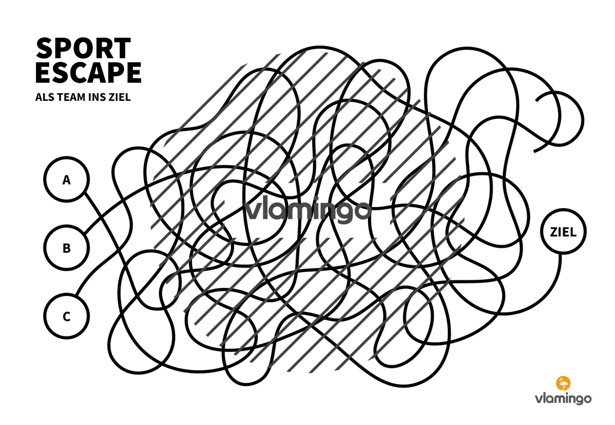 Sport Escape: Als Team ins Ziel (Sekundarstufe)