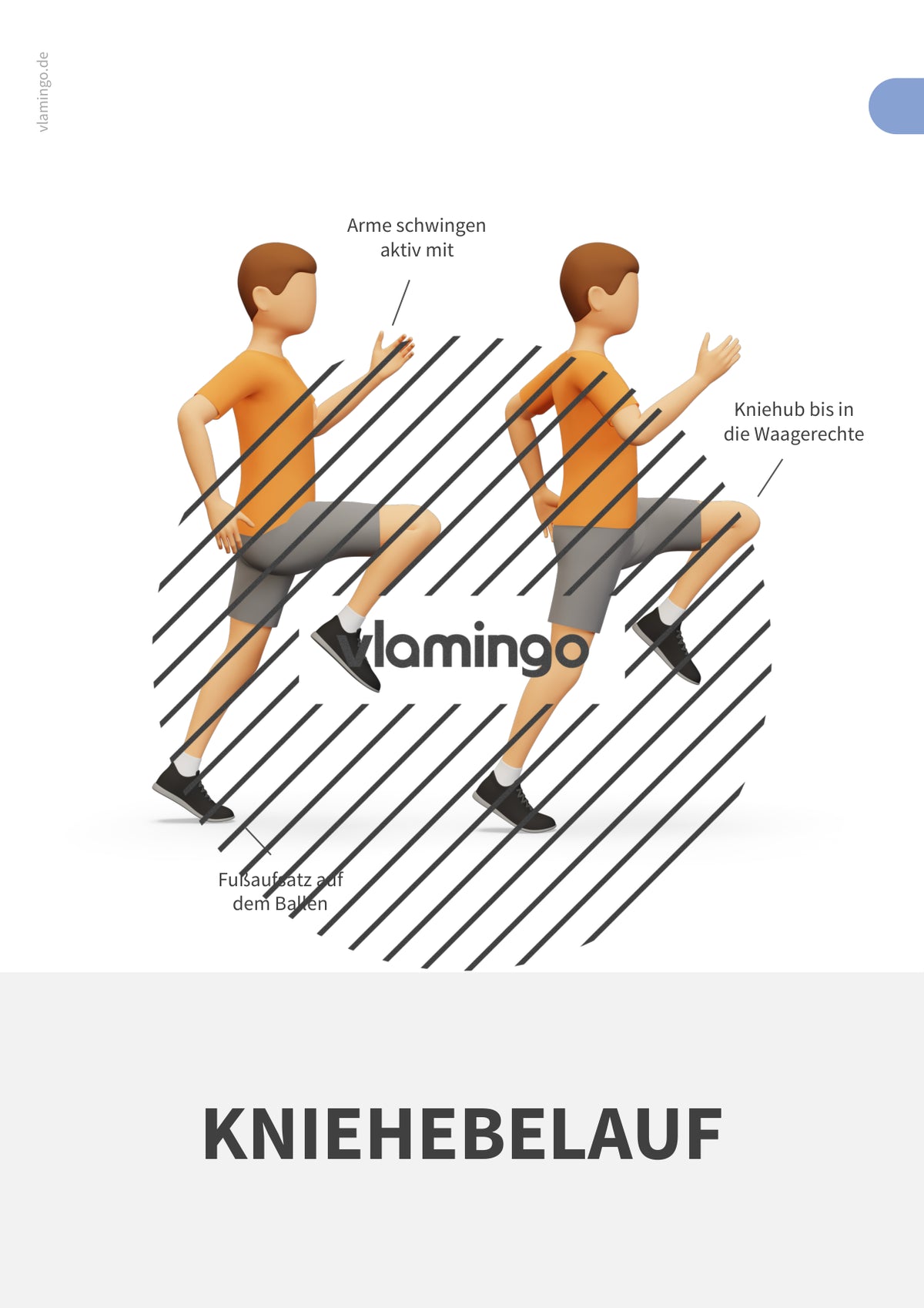 Weitsprung im Sportunterricht: Das Praxis-Handbuch mit Übungen, Spielen und Technikkarten (Leichtathletik)
