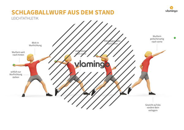 Weitwurf mit dem Schlagball: Das Praxis-Handbuch für den Sportunterricht (Übungen, Spiele und Technikkarten)