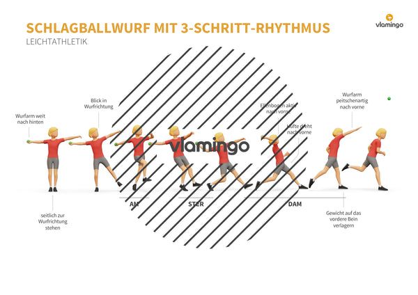 Weitwurf mit dem Schlagball: Das Praxis-Handbuch für den Sportunterricht (Übungen, Spiele und Technikkarten)