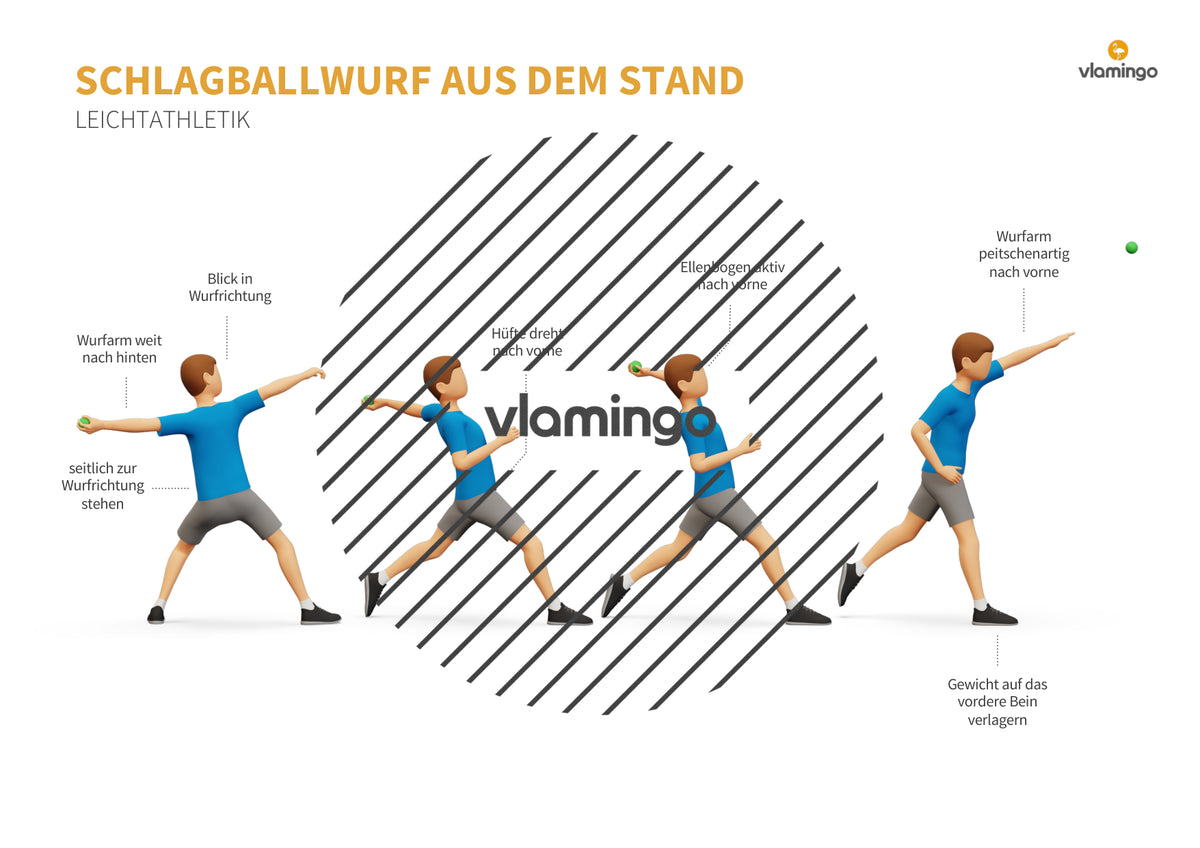 Weitwurf mit dem Schlagball: Das Praxis-Handbuch für den Sportunterricht (Übungen, Spiele und Technikkarten)