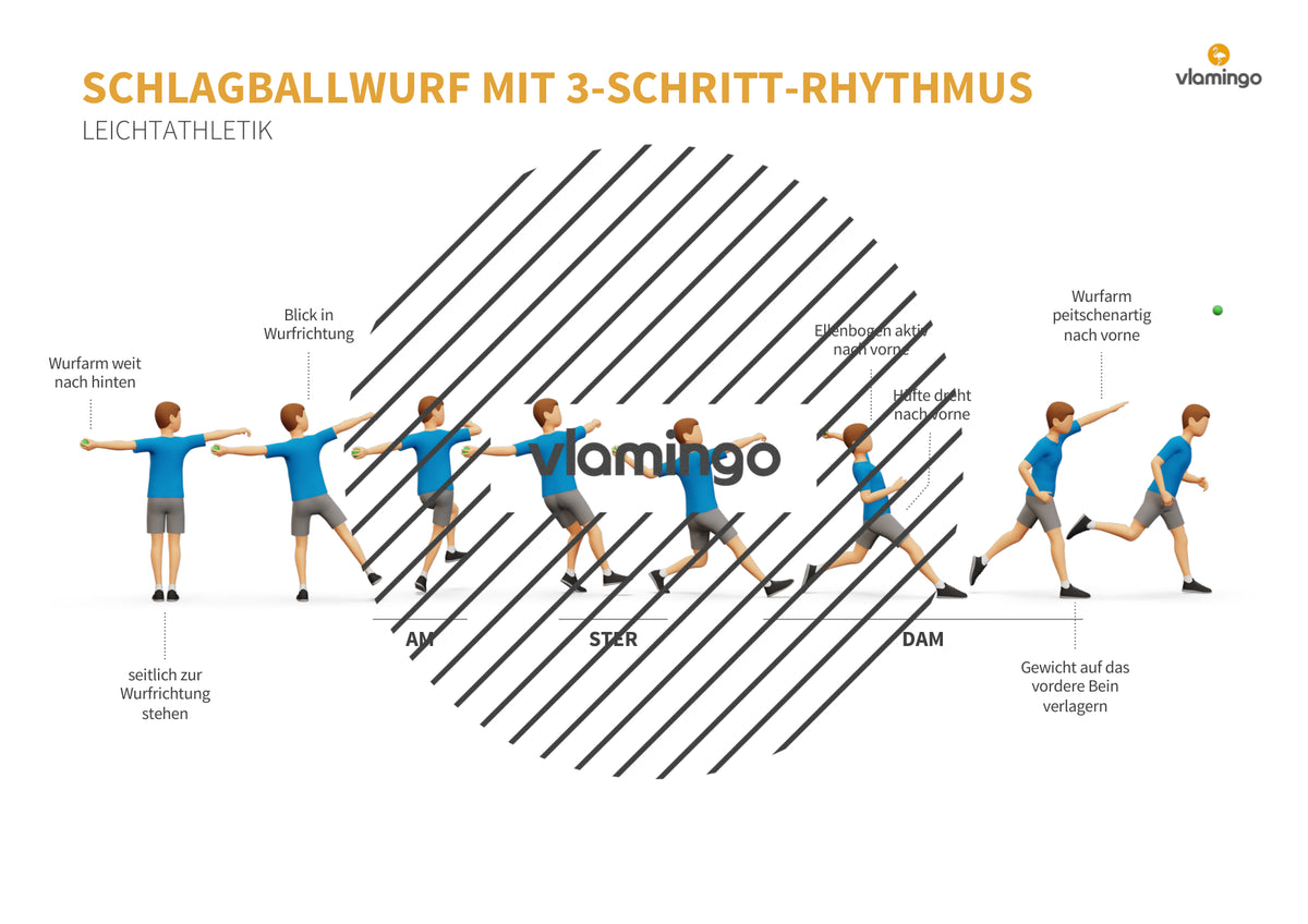 Weitwurf mit dem Schlagball: Das Praxis-Handbuch für den Sportunterricht (Übungen, Spiele und Technikkarten)