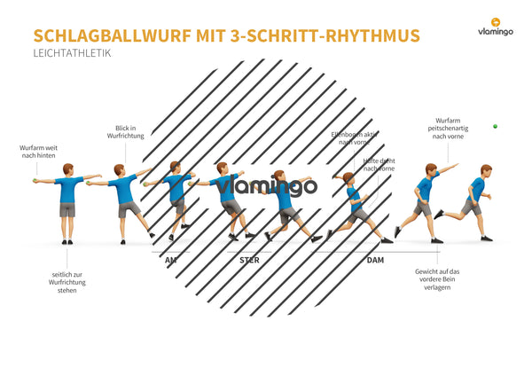 Weitwurf mit dem Schlagball: Das Praxis-Handbuch für den Sportunterricht (Übungen, Spiele und Technikkarten)