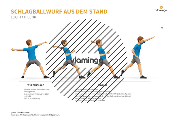 Weitwurf mit dem Schlagball: Das Praxis-Handbuch für den Sportunterricht (Übungen, Spiele und Technikkarten)