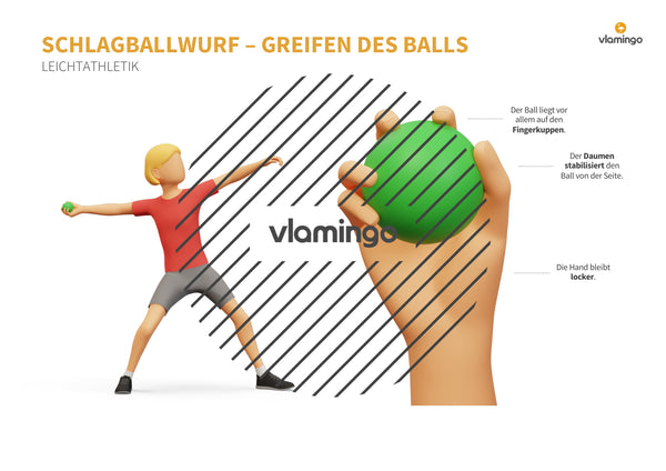 Weitwurf mit dem Schlagball: Das Praxis-Handbuch für den Sportunterricht (Übungen, Spiele und Technikkarten)