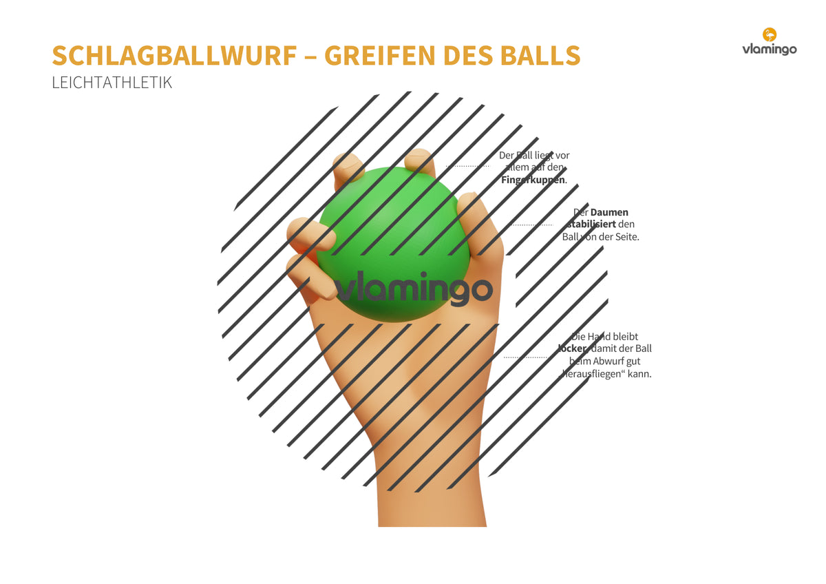 Weitwurf mit dem Schlagball: Das Praxis-Handbuch für den Sportunterricht (Übungen, Spiele und Technikkarten)