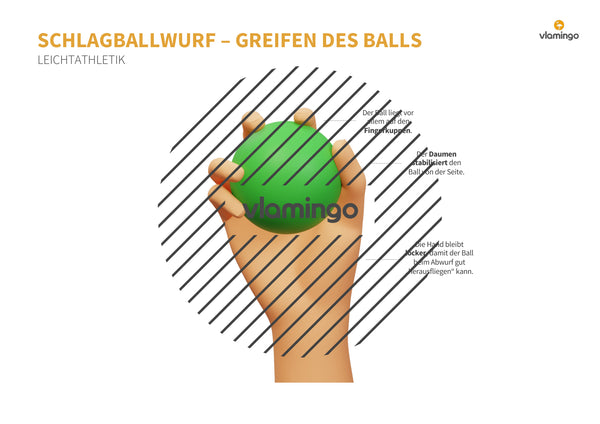 Weitwurf mit dem Schlagball: Das Praxis-Handbuch für den Sportunterricht (Übungen, Spiele und Technikkarten)
